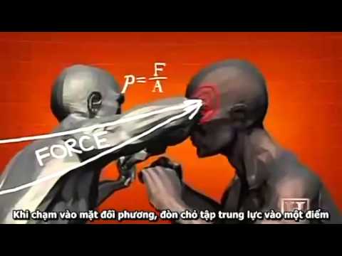 Khám phá võ thuật Đòn hiểm của Muay Thai P2