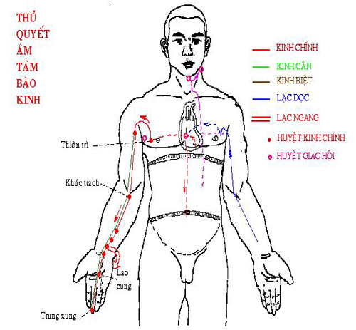 Thủ Quyết Âm Tâm Bào Kinh Thủ Quyết Âm Tâm Bào Kinh
