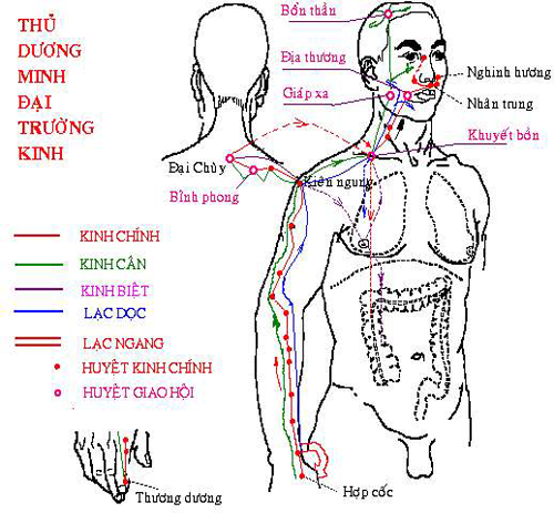 Thủ Dương Minh Đại Trường Kinh