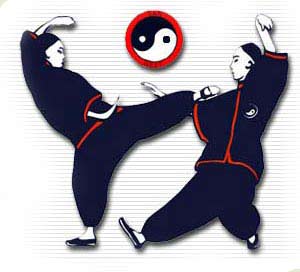 Y – VÕ DƯỠNG SINH