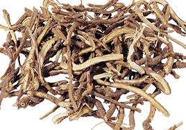 Hoá dược cây thuốc cổ truyền Đông Phương – Các Vị thuốc giải biểu Hoá dược cây thuốc cổ truyền Đông Phương – Các Vị thuốc giải biểu