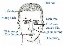 Kỹ thuật xoa bóp – day ấn huyệt – massage – thẩm mỹ của Y -Dược sư Nguyễn Viết Xô Kỹ thuật xoa bóp – day ấn huyệt – massage – thẩm mỹ của Y -Dược sư Nguyễn Viết Xô