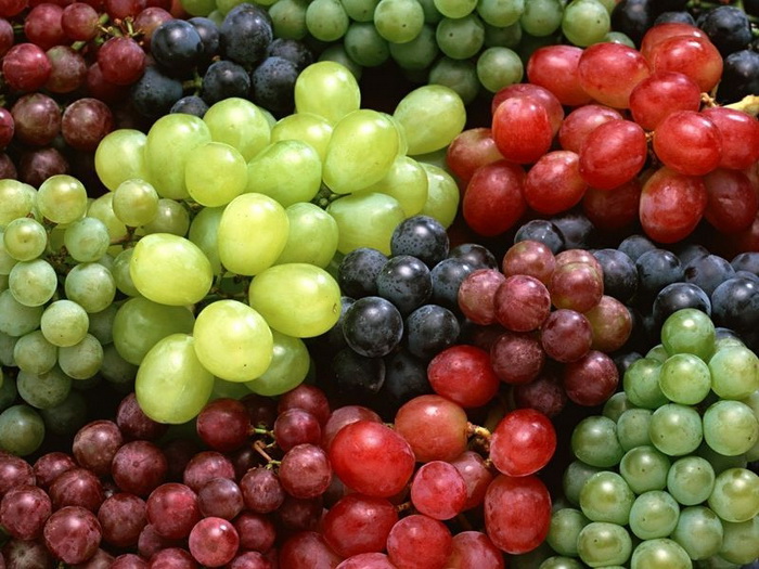 CÁC ACID HỮU CƠ CÁC ACID HỮU CƠ