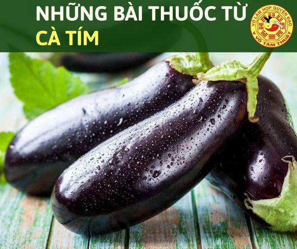 CÀ TÍM TRỊ BỆNH GÌ? CÀ TÍM TRỊ BỆNH GÌ?